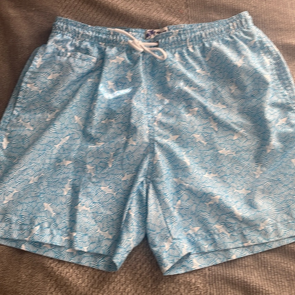 Trunks swim trunks large